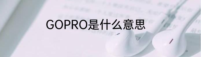 GOPRO是什么意思