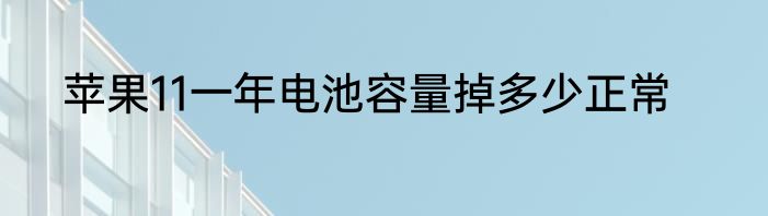 苹果11一年电池容量掉多少正常