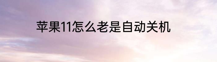 苹果11怎么老是自动关机