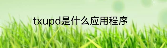 txupd是什么应用程序