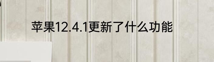 苹果12.4.1更新了什么功能