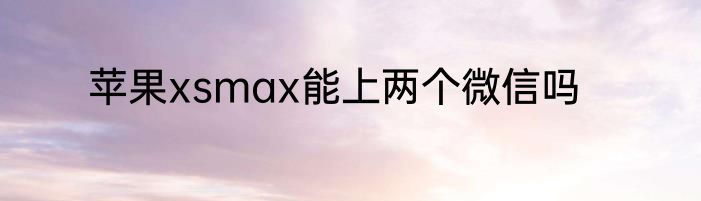 苹果xsmax能上两个微信吗