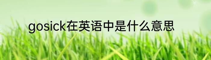 gosick在英语中是什么意思