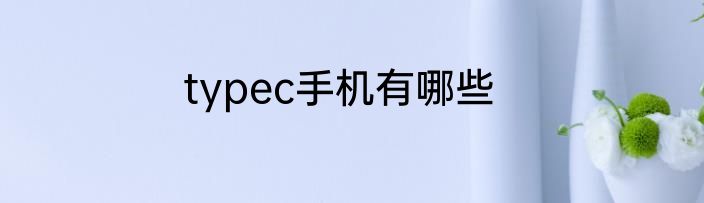 typec手机有哪些