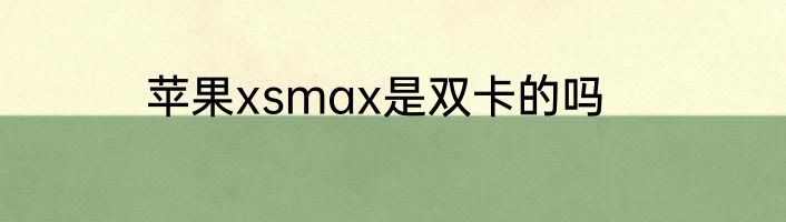 苹果xsmax是双卡的吗