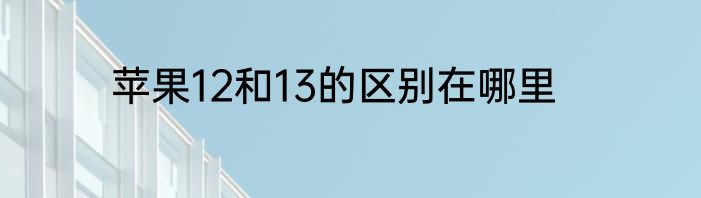 苹果12和13的区别在哪里