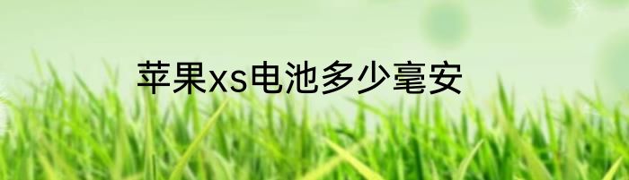 苹果xs电池多少毫安