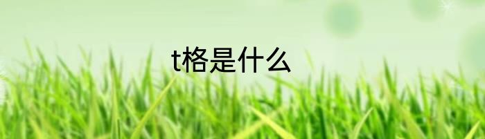 t格是什么