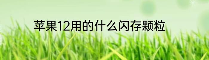 苹果12用的什么闪存颗粒