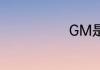 GM是什么意思