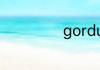 gordura什么品牌