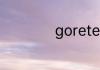 goretex是什么牌子