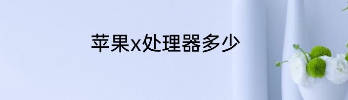 苹果x处理器多少
