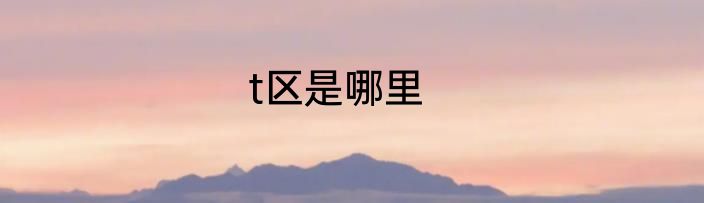 t区是哪里