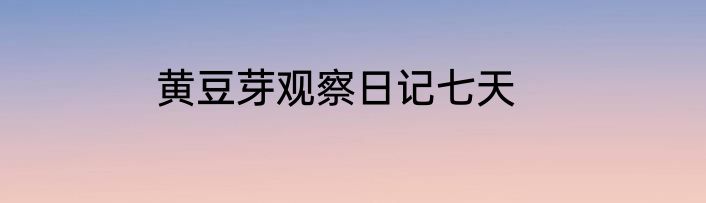 黄豆芽观察日记七天