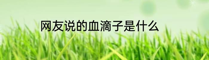 网友说的血滴子是什么