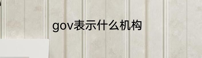 gov表示什么机构