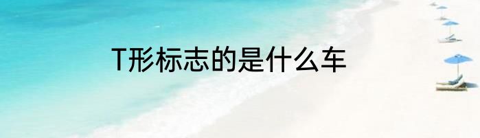 T形标志的是什么车