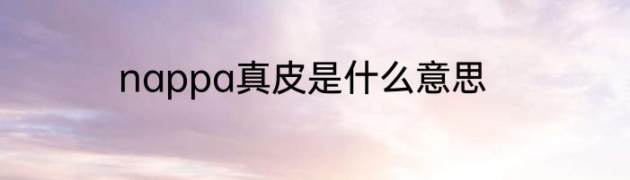 nappa真皮是什么意思