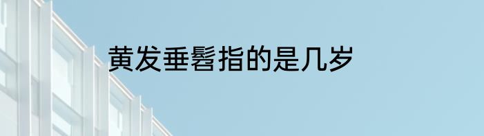 黄发垂髫指的是几岁