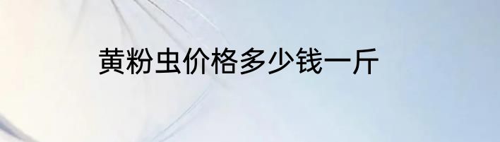 黄粉虫价格多少钱一斤