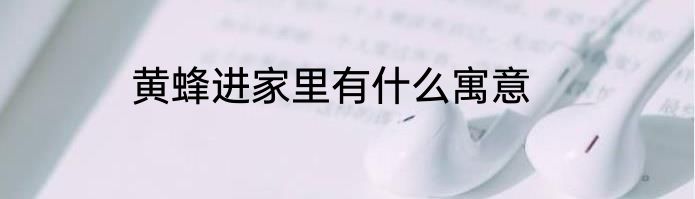 黄蜂进家里有什么寓意