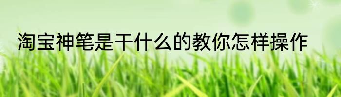 淘宝神笔是干什么的教你怎样操作