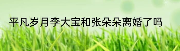 平凡岁月李大宝和张朵朵离婚了吗