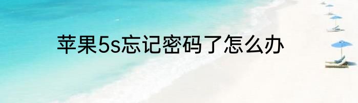 苹果5s忘记密码了怎么办