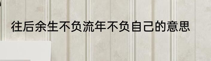 往后余生不负流年不负自己的意思