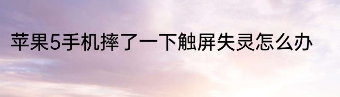 苹果5手机摔了一下触屏失灵怎么办
