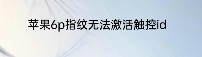 苹果6p指纹无法激活触控id