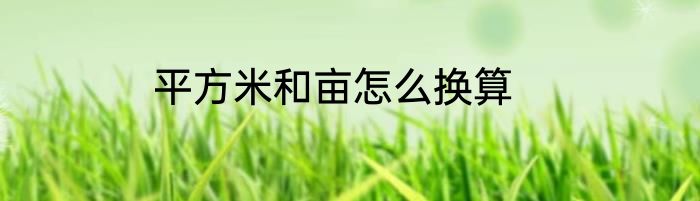 平方米和亩怎么换算