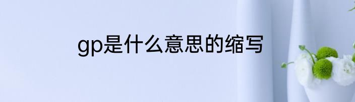 gp是什么意思的缩写