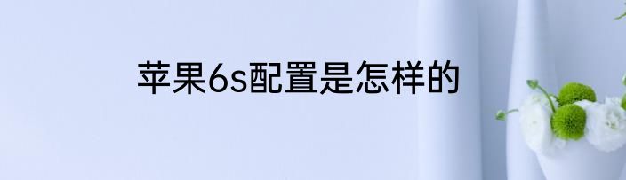苹果6s配置是怎样的