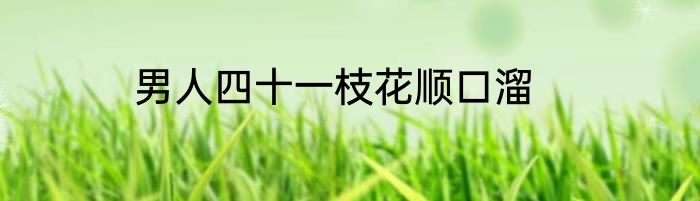 男人四十一枝花顺口溜