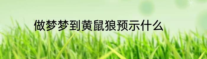 做梦梦到黄鼠狼预示什么