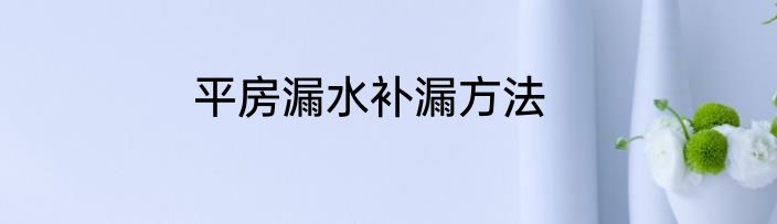 平房漏水补漏方法