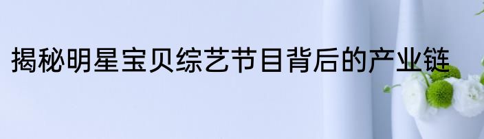 揭秘明星宝贝综艺节目背后的产业链