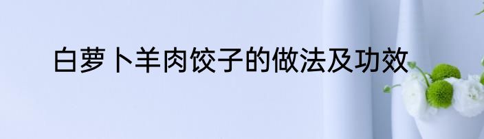 白萝卜羊肉饺子的做法及功效