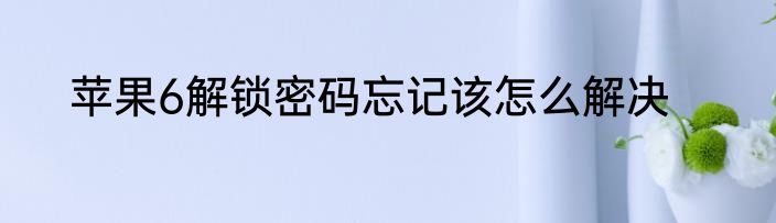 苹果6解锁密码忘记该怎么解决