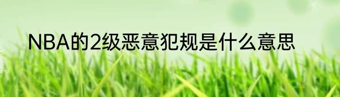 NBA的2级恶意犯规是什么意思