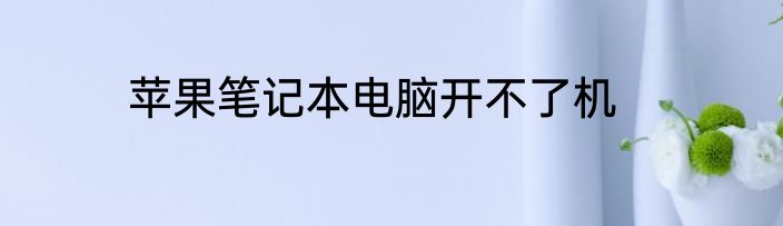 苹果笔记本电脑开不了机