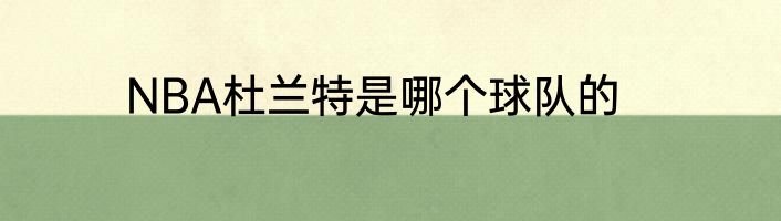 NBA杜兰特是哪个球队的