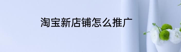 淘宝新店铺怎么推广