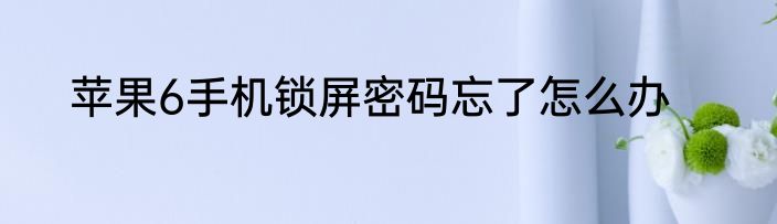 苹果6手机锁屏密码忘了怎么办