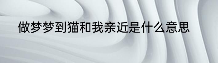 做梦梦到猫和我亲近是什么意思