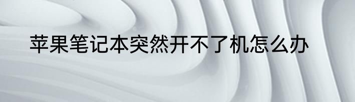 苹果笔记本突然开不了机怎么办