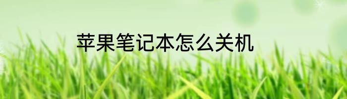 苹果笔记本怎么关机