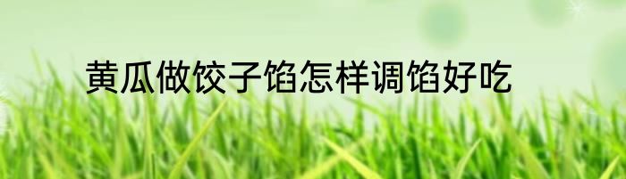 黄瓜做饺子馅怎样调馅好吃